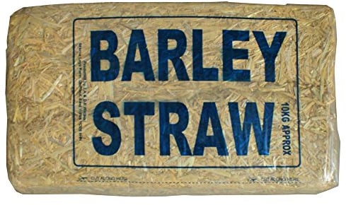 Skerne Leys Barley Straw Bale 10Kg