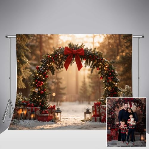 Kate Xmas Outdoor Forest Photography Backdrops 10x6.5ft/3x2m Christmas Garland Arch Snow Portrait Photo Background Studio Holiday Family Party Photo Backdrop Decorative Banner
