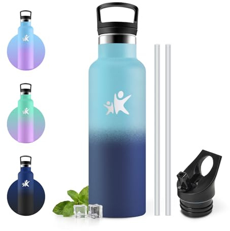 JAPORIA Botella Agua Acero Inoxidable 500ml, sin BPA, Cantimplora con Pajita, A Prueba de Fugas, Cantimplora para Gimnasia, Camping, Escuela