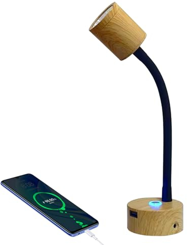 TWSOUL Dimmbare RV Leseleuchte mit USB-Ladeanschlus, 12V LED Leselampe Wandleuchte, 3W LED Spot Leselampe Touch Dimmschalter, 360° Drehbar für Camper Reisemobil Caravan Boat (1 Stück)