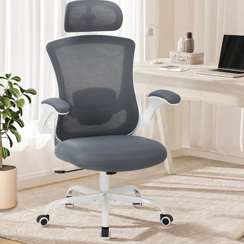 COLAMY Office Chair Mesh Computer Chair with Adjustable Headrest and Lumbar Support Ergonomic Desk Chair with Flip-up Armrest, 140° Rocking for Home Office Study, Grey