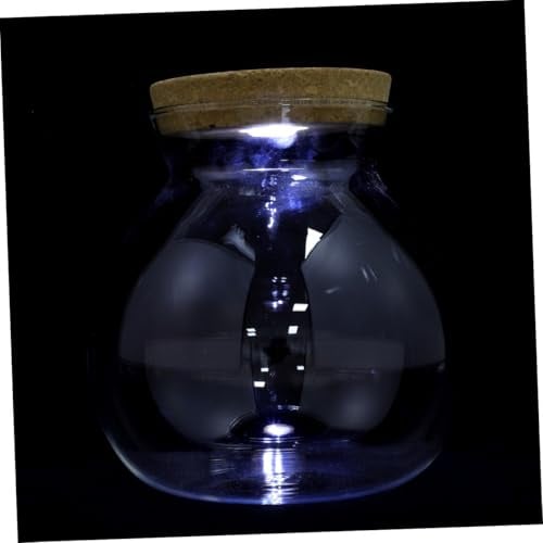 LED Glasflasche aus Borosilikatglas für Mikrolandschaft mit Beleuchtung