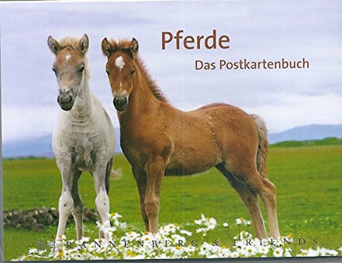 Postkartenbuch PFERDE * Buch mit 14 Karten