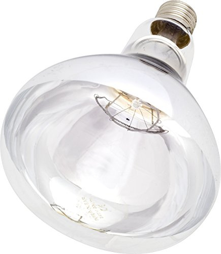 Shorefields Clear Hard Glass Infra Red Heat Lamp Bulb 250w