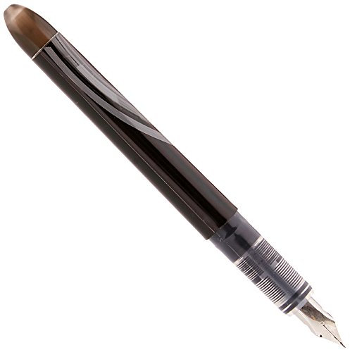 Zebra Fountain Pen, Black, Medium Nib, Non,Scratch, Disposable Stainless Steel Nib, Pack of 12