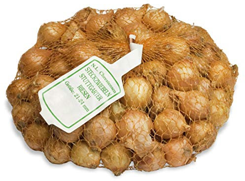 Steckzwiebeln Stuttgarter Riesen (500 g)