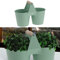 Cepewa Übertopf Doppelt 2 Töpfe verbunden mit Henkel │ Stahlblech verzinkt 22x17x11cm türkis │ Topf für Blumen Kräuter Pflanzen (1 x Übertopf doppelt türkis Ø11cm)