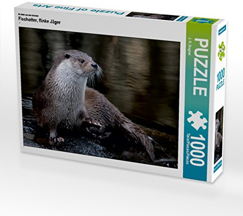 CALVENDO Puzzle EIN Motiv aus dem Kalender Fischotter, flinke Jäger | 1000 Teile Lege-Größe 64 x 48 cm Foto-Puzzle für glückliche Stunden