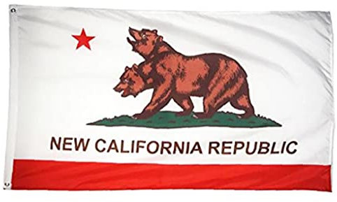 1 Pc New Republic State Flag 3x5ft Banner 100d 150x90cm Polyester Latón Ojales Bandera Personalizada