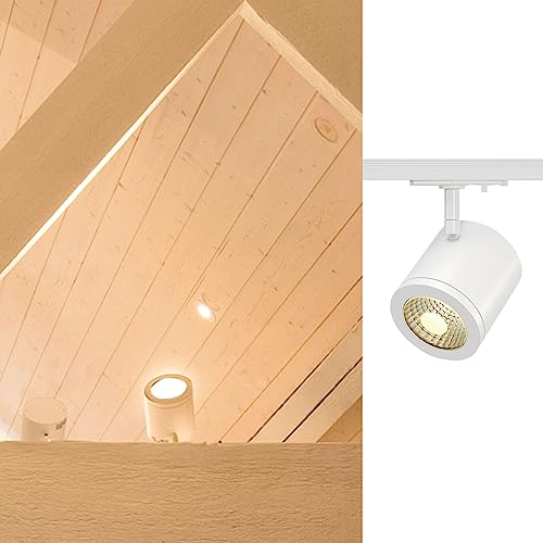 ENOLA_C, Spot für Hochvolt-Stromschiene 1Phasen