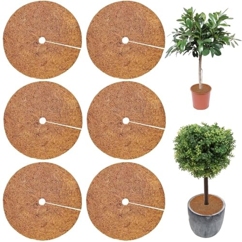 LYNBLY Winterschutz Kokosmatte, 6 Stück 30cm Kokos Pflanzenschutz, Mehrfach Verwendbar Kokos Mulchscheibe, Nachhaltig pflanzenschutz Winter, Winterschutz für Kübelpflanzen im Garten Gegen die Kälte