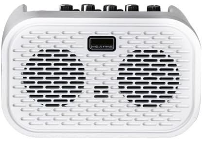 Fangxuee Mini Amplificador de Guitarra Acústica Eléctrica con Altavoz Bluetooth Portátil con Efectos de Distorsión y Retardo de 10 W