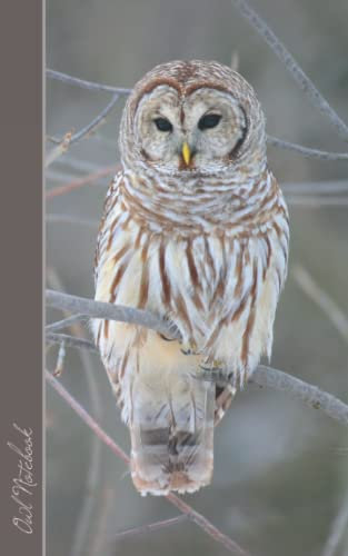 Owl Notebook: Gifts / Presents / Ruled Notebook for Owl & Baby Owl Lovers (Animal Series)