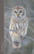 Owl Notebook: Gifts / Presents / Ruled Notebook for Owl & Baby Owl Lovers (Animal Series)