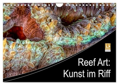 Reef Art - Kunst im Riff (Wandkalender 2025 DIN A4 quer), CALVENDO Monatskalender