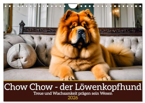 Chow Chow - der Löwenkopfhund (Wandkalender 2026 DIN A4 quer), CALVENDO Monatskalender: Treue und Wachsamkeit prägen sein Wesen (CALVENDO Tiere)