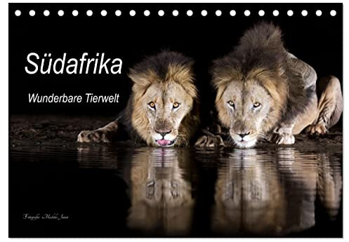 Südafrika wunderbare Tierwelt (Tischkalender 2026 DIN A5 quer), CALVENDO Monatskalender: Einblick in die Tierwelt Südafrikas (CALVENDO Natur)