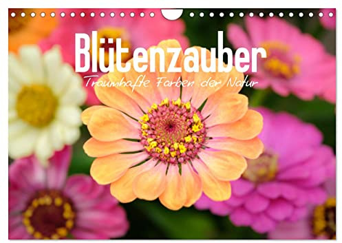 Blütenzauber - Traumhafte Farben der Natur (Wandkalender 2026 DIN A4 quer), CALVENDO Monatskalender: Schöne Blumen in der Natur (CALVENDO Natur)