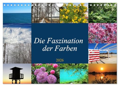 Die Faszination der Farben (Wandkalender 2026 DIN A4 quer), CALVENDO Monatskalender: Die Natur und die Umwelt liefern unterschiedliche Farbtöne, die ... Eindrücke bieten. (CALVENDO Natur)