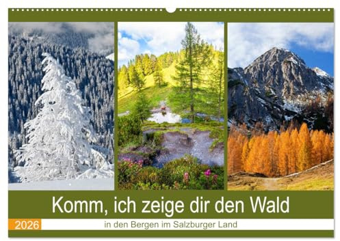 Komm, ich zeige dir den Wald (Wandkalender 2026 DIN A2 quer), CALVENDO Monatskalender: Schöne Wälder in den Bergen im Salzburger Land (CALVENDO Natur)
