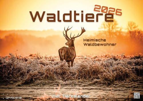 Waldtiere - Heimische Waldbewohner - Der Tierkalender - 2026 - Kalender DIN A2: Der Wandkalender mit den schönsten Waldtier-Motiven für das Jahr 2026 im extragroßen Format DIN A2 (ca. 60 x 42 cm)!