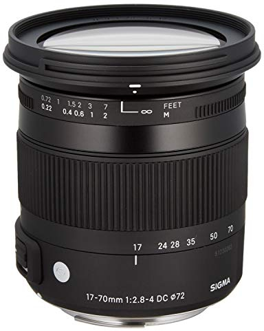 Sigma 884955 - Objetivo para Nikon (distancia focal 17-70mm, apertura f/2.8-4, estabilizador) color negro