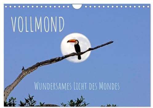 Vollmond: Wundersames Licht des Mondes (Wandkalender 2025 DIN A4 quer), CALVENDO Monatskalender