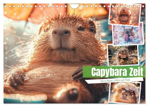 Capybara Zeit (Wandkalender 2026 DIN A4 quer), CALVENDO Monatskalender: Wenn der Alltag stresst, lebt das Capybara einfach weiter – im eigenen ... und gepflegtem Nichtstun. (CALVENDO Tiere)