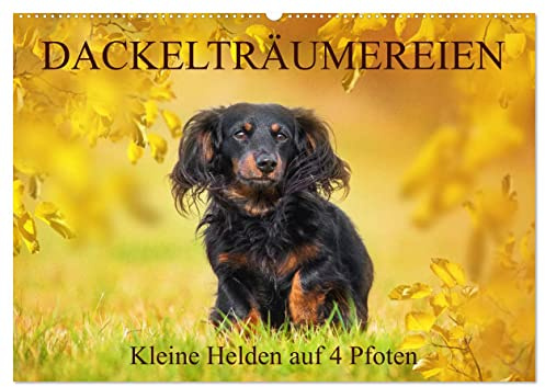 Dackelträumereien - Kleine Helden auf 4 Pfoten (Wandkalender 2026 DIN A2 quer), CALVENDO Monatskalender: Lassen Sie sich von zauberhaften ... durch das Jahr begleiten (CALVENDO Tiere)