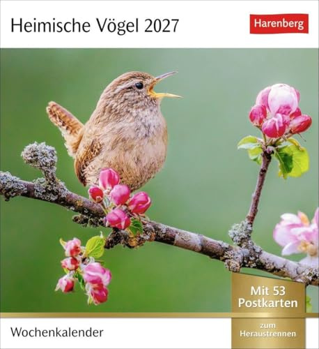 Heimische Vögel Postkartenkalender 2027 - Wochenkalender mit 53 Postkarten: Wochenkalender im Postkarten-Format mit Vogelporträts. Tischkalender mit ... neuen Postkarten zum Sammeln und Verschicken