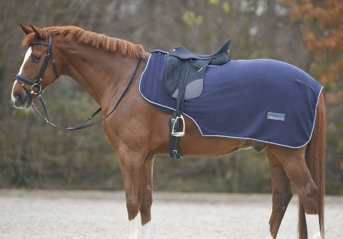 Amesbichler Reitsport Waldhausen Ausreitdecke Fleece Economic dunkelblau Pferdedecke Nierendecke