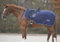 Amesbichler Reitsport Waldhausen Ausreitdecke Fleece Economic dunkelblau Pferdedecke Nierendecke