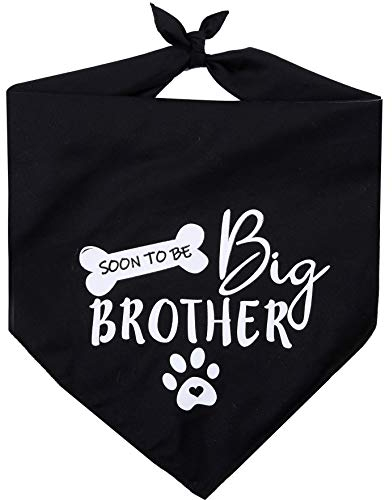 Pawskido Hundehalstuch, Motiv: Big Brother, wendbar, Dreieckstuch