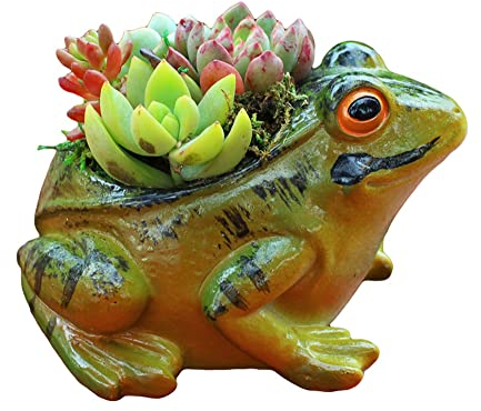123Arts Resin Froschform Sukkulenten Pflanztopf Blumentopf lebensecht Frosch Pflanzgefäß
