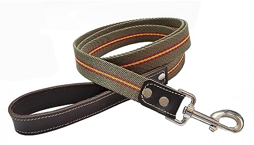 Tiendas LGP - Correa de Paseo para Perro, Bandera de España, de 1,40 Metro, Nylon y Cuero, Verde