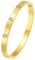 Heyjoin Women's Stainless Steel Bracelet Crystal Oval Bangle Round Bracelets (Crystal Gold)