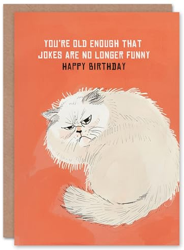 Artery8 Jokes Not Funny Old Age Joke Grumpy Cat Lover Blank For Him Or Her Art Birthday Card
