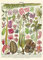 Cavallini Dekoratives Geschenkpapier (Algen) - 20 x 28 cm - A4 - 1 Blatt - Satin - 22 g/m²