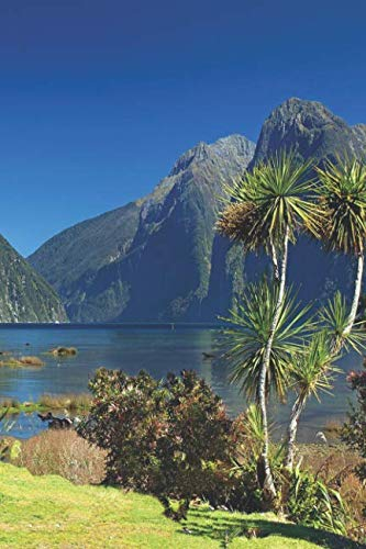 Tagebuch Neuseeland: Notizbuch mit wunderschönem Neuseeland Cover