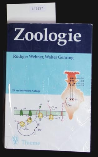 Georg Thieme Verlag, Stuttgart