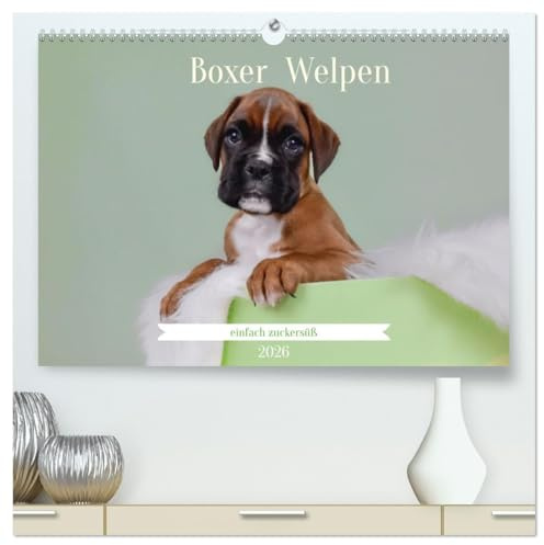Boxer Welpen einfach zuckersüß (hochwertiger Premium Wandkalender 2026 DIN A2 quer), Kunstdruck in Hochglanz: Lass dich von den süßesten Boxerwelpen ... dein Herz erobern. (CALVENDO Tiere)