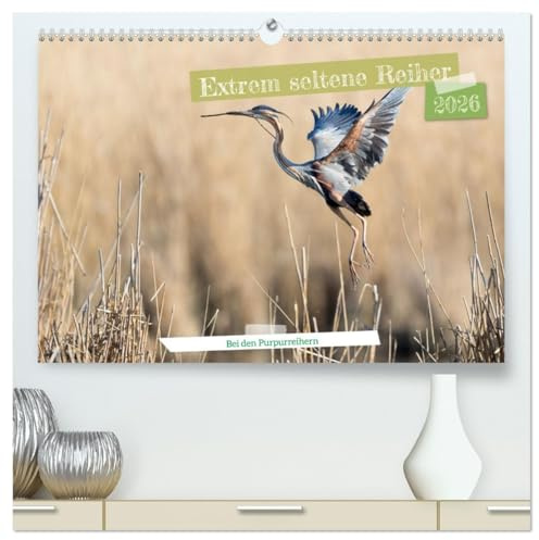 Extrem seltene Reiher (hochwertiger Premium Wandkalender 2026 DIN A2 quer), Kunstdruck in Hochglanz: Die extrem seltenen Purpurreiher werden hier in verschiedenen Szenen dargestellt. (CALVENDO Tiere)