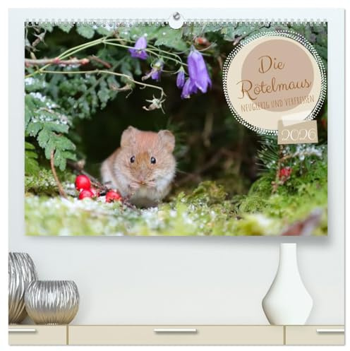 Die Rötelmaus - neugierig und verfressen (hochwertiger Premium Wandkalender 2026 DIN A2 quer), Kunstdruck in Hochglanz: Das freche Treiben der Rötelmaus. (CALVENDO Tiere)