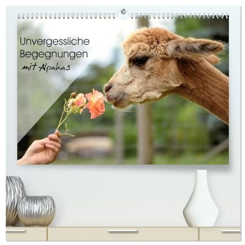 Unvergessliche Begegnungen mit Alpakas (hochwertiger Premium Wandkalender 2026 DIN A2 quer), Kunstdruck in Hochglanz: Unvergessliche Begegnungen für die Alpakas - und für Sie. (CALVENDO Tiere)