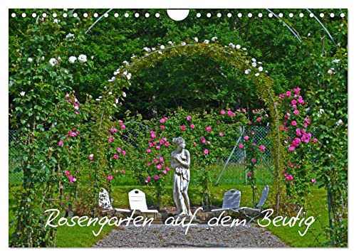 Rosengarten auf dem Beutig (Wandkalender 2026 DIN A4 quer), CALVENDO Monatskalender: Für Rosenliebhaber ein Muss (CALVENDO Natur)