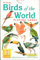 Vögel Welt spielen auf Karten