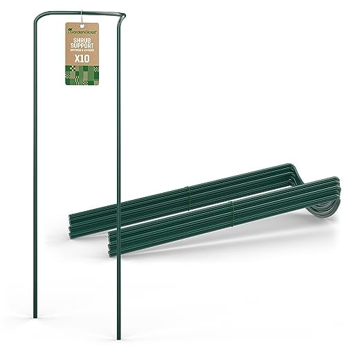 GardenGloss Kit de 10 Tuteur Plante (100cm x 40cm) - Supports pour Plantes Grimpantes et Fleurs - Aidez Vos Plantes à Pousser - Pieux à Hortensias, Pivoines, Plantes Vivaces et Plus