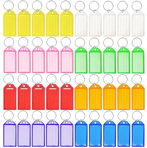Redamancy 40 Pièces Porte Clef Etiquette, Étiquette en Papier Avec Lignes Vierges, 8 Couleurs Porte-Clef en Plastique Solide et Durable pour Identification