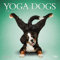 Yoga Dogs 2018 Calendar