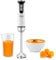 Ufesa Solar Mixeur Plongeant, Puissance 1200W, 12 Vitesses + TURBO, 4 Lames en Acier Inoxydable, Design Ergonomique et Anti-Éclaboussures, Verre Doseur, Sans BPA, Blanc